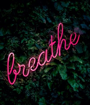 fabian-moller-gI7zgb80QWY-unsplash